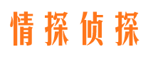 永川市侦探公司